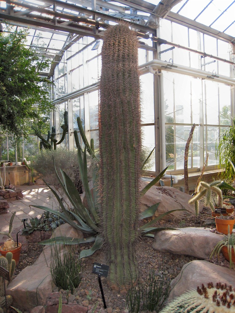 Michigans West Coast 2009 0511.jpg - Labor Day 2009. A trip along Michigans west coast to see beachs, art and buffets.